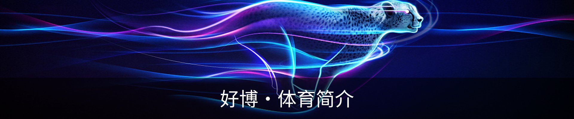 好博·体育简介